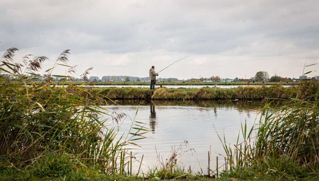 Brochets : s'adapter à la pêche sur les polders