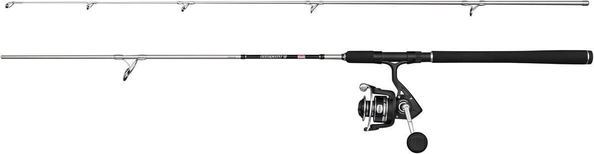 Test de l'ensemble canne et moulinet Penn Pursuit V 4000 : performance en mer