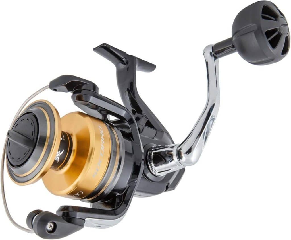 Test : moulinet Reel Socorro SW 10000