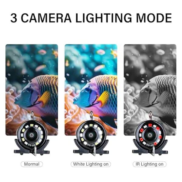 Découvrez notre test complet de la caméra de pêche sous-marine Esanhao LCD 12, 7 cm : performances, qualité vidéo et avis utilisateurs pour bien choisir votre équipement.