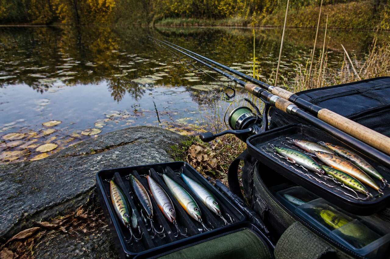 Comprendre l’automne du brochet : où il se place et pourquoi il attaque Comprendre l’automne du brochet : où il se place et pourquoi il attaque
