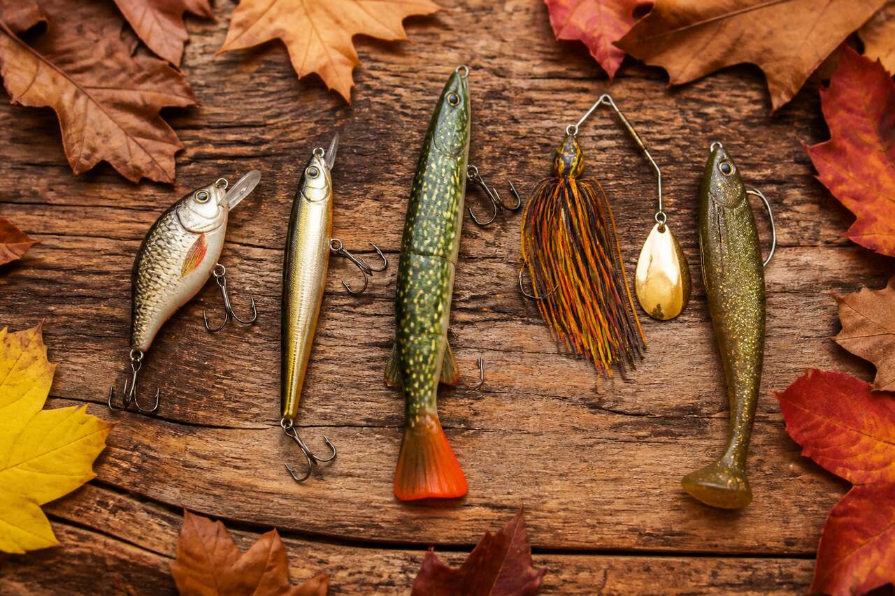 Les 5 leurres incontournables pour le brochet en automne Les 5 leurres incontournables pour le brochet en automne
