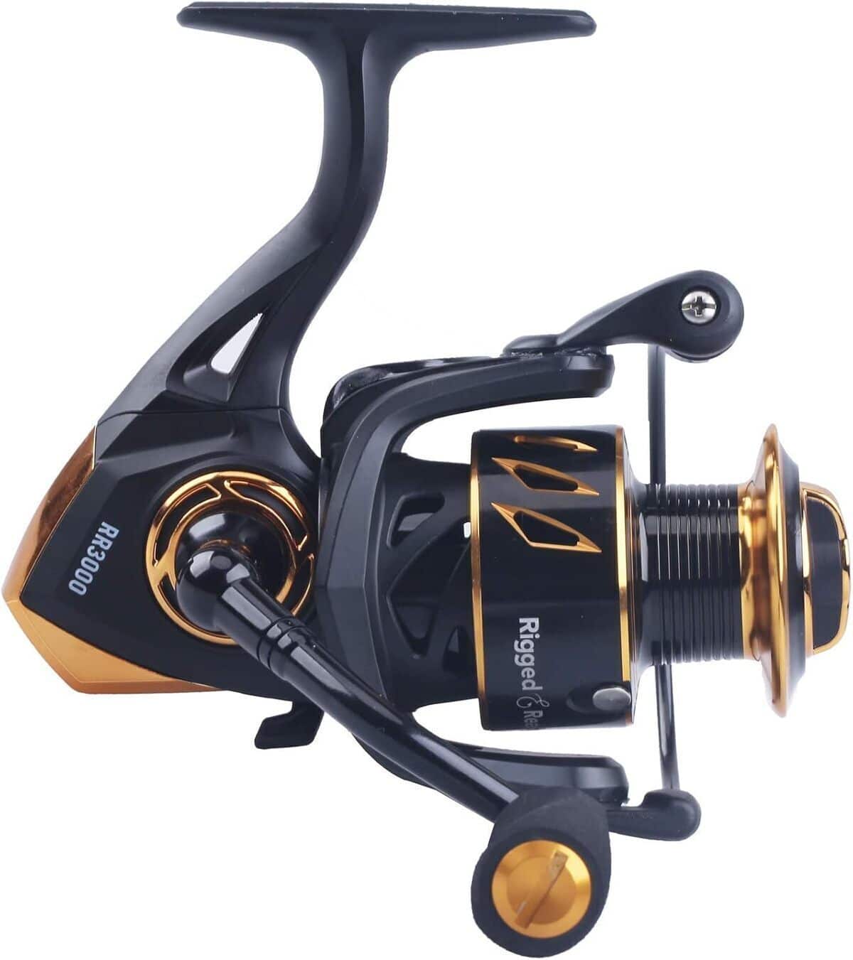 Test moulinet de pêche RR 3000 : robuste et durable pour la pêche à la carpe